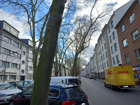 Koeln Zollstock